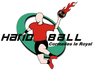 Handball Cormelles Le Royal (HCR)